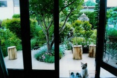 scan0025