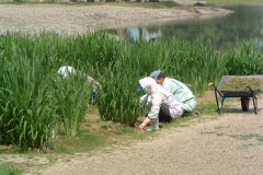 DSCF0071