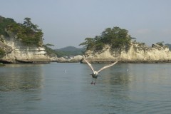DSCN1018